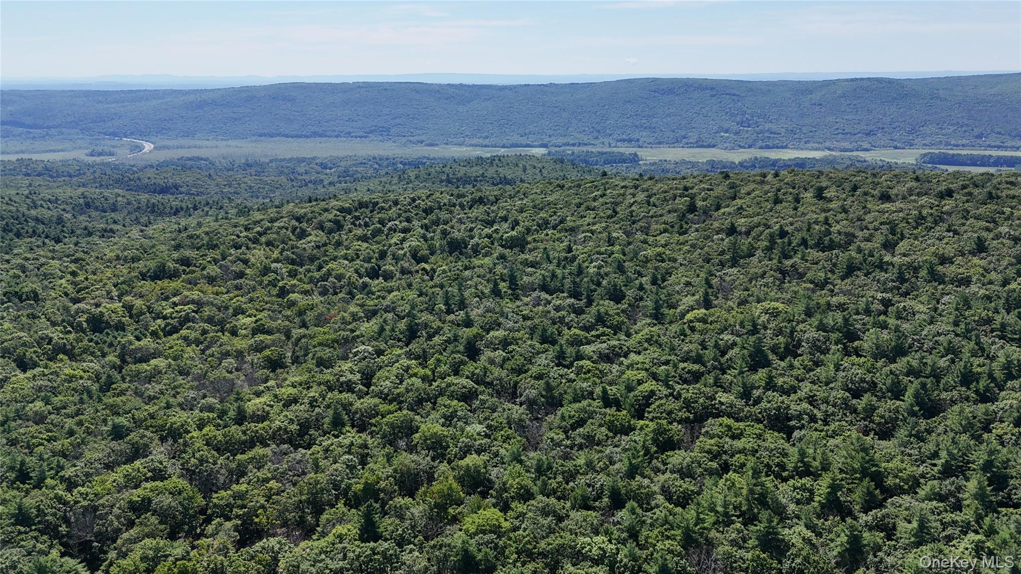 State Route 209 Property Photo 4