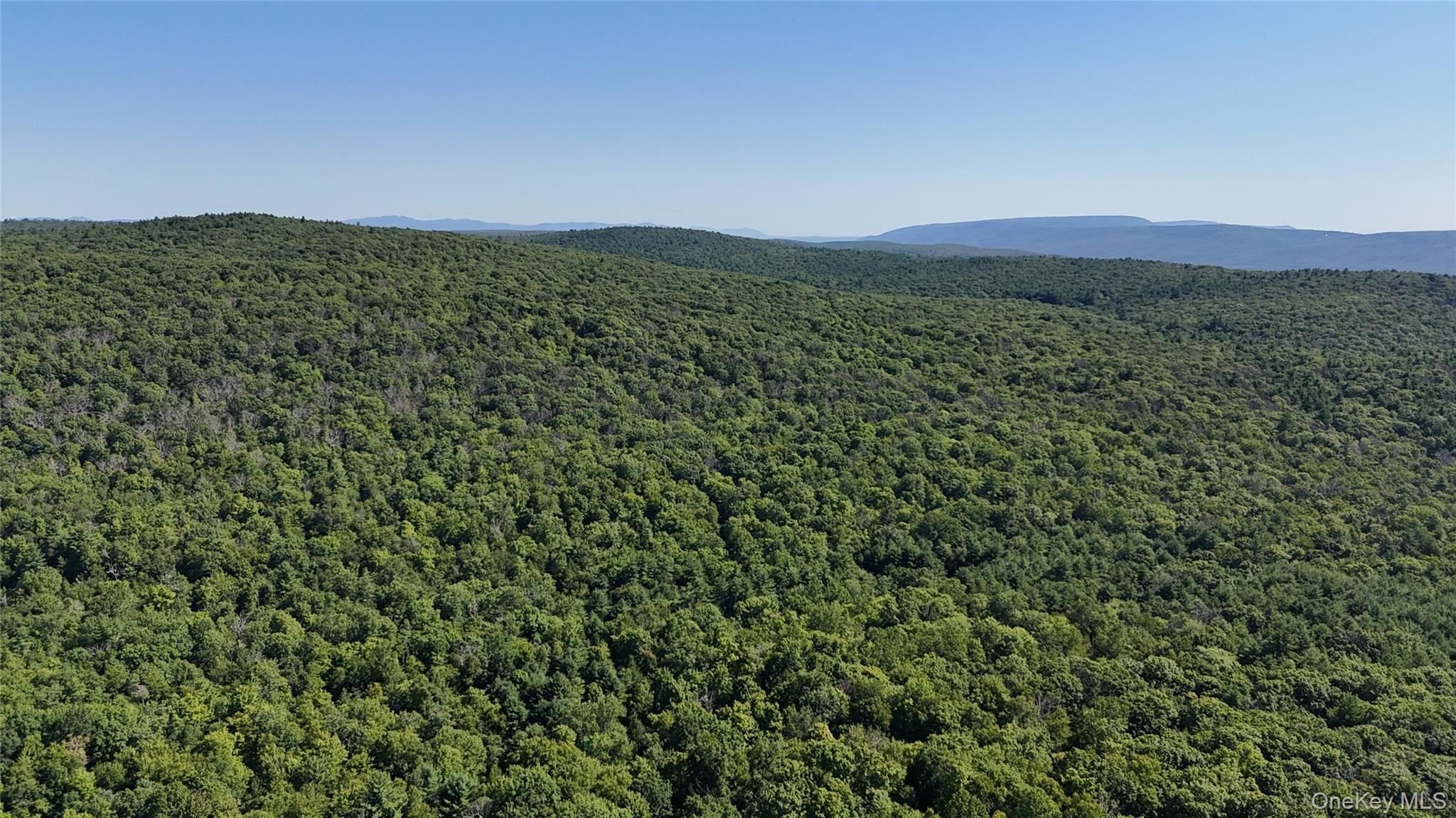 State Route 209 Property Photo 7