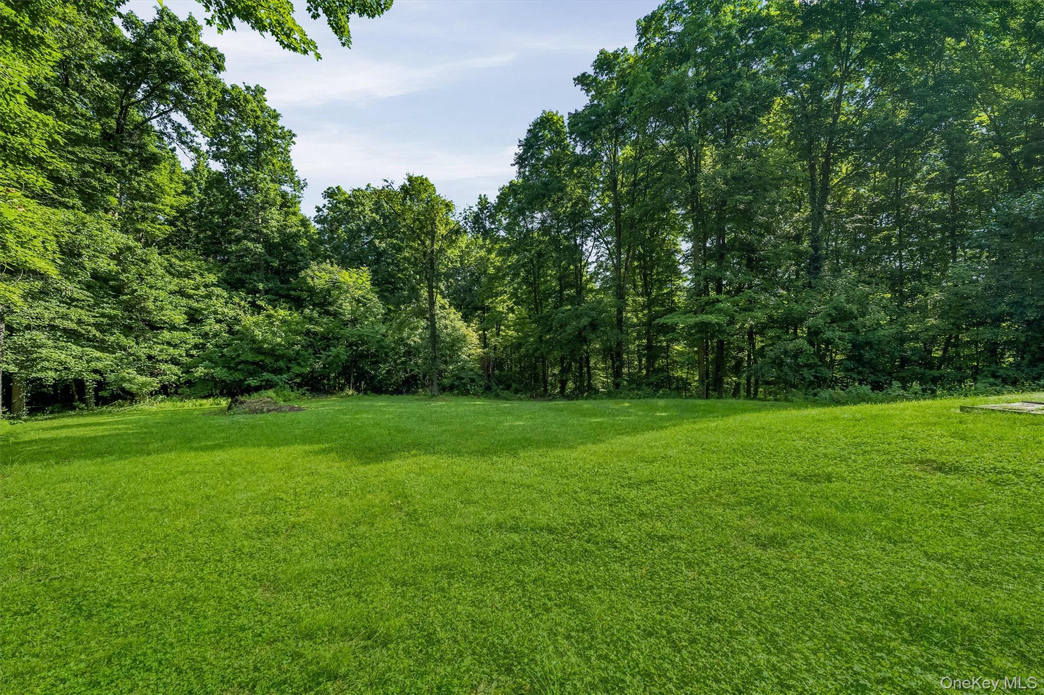 66 Whitetail Run Property Photo 45