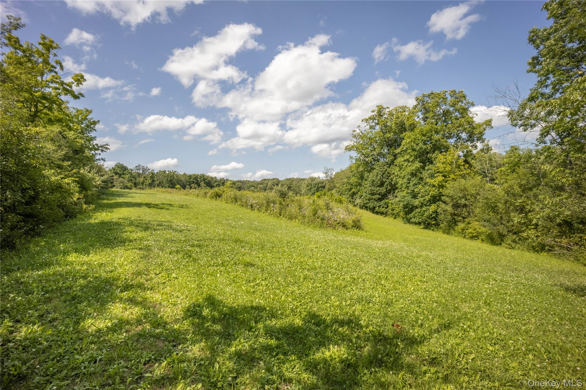 147 Lauer Road Property Photo 1