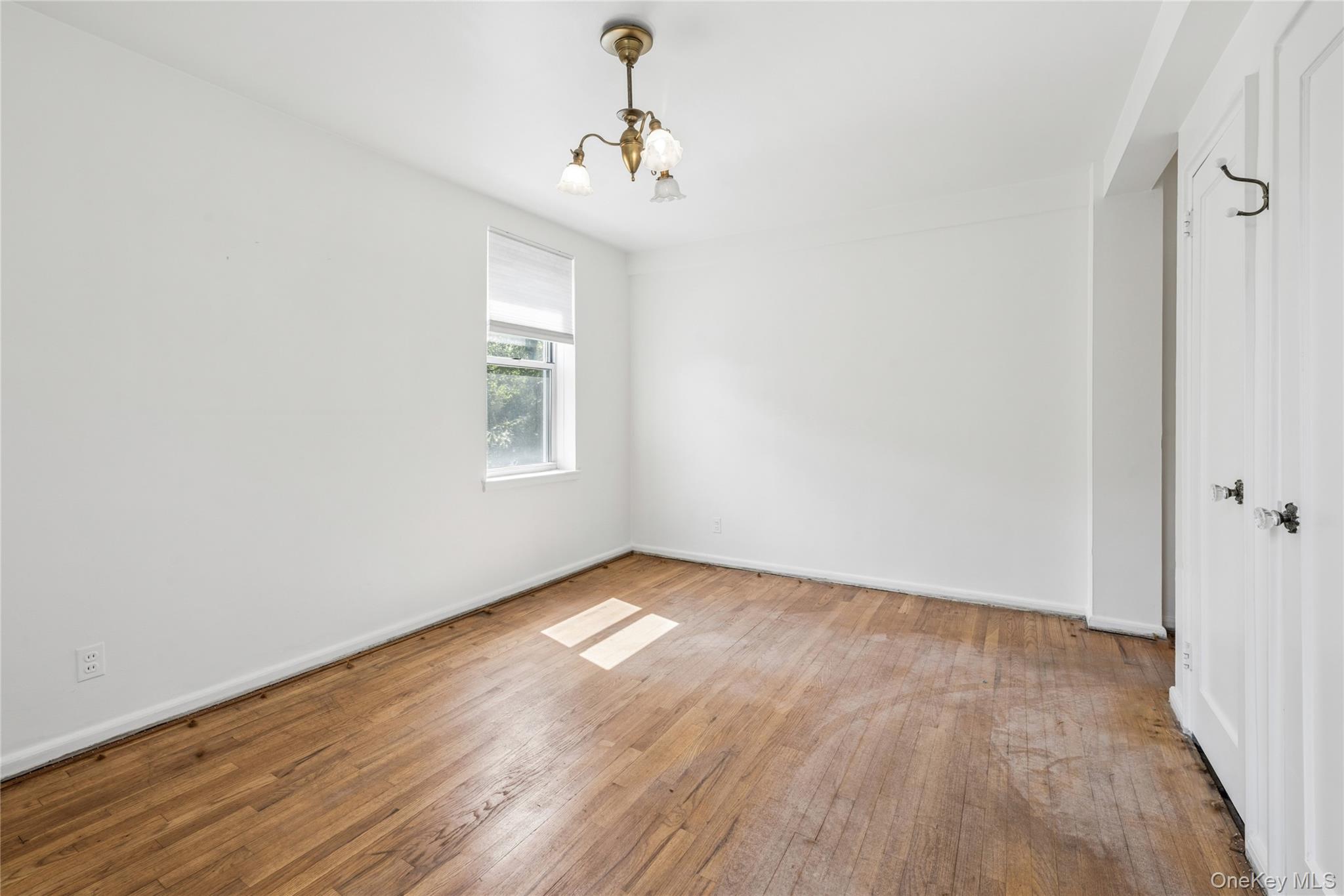 247 Parkview Avenue 3p Property Photo 17