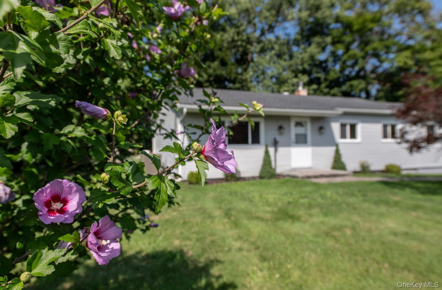 16 Trinity Place Property Photo 4