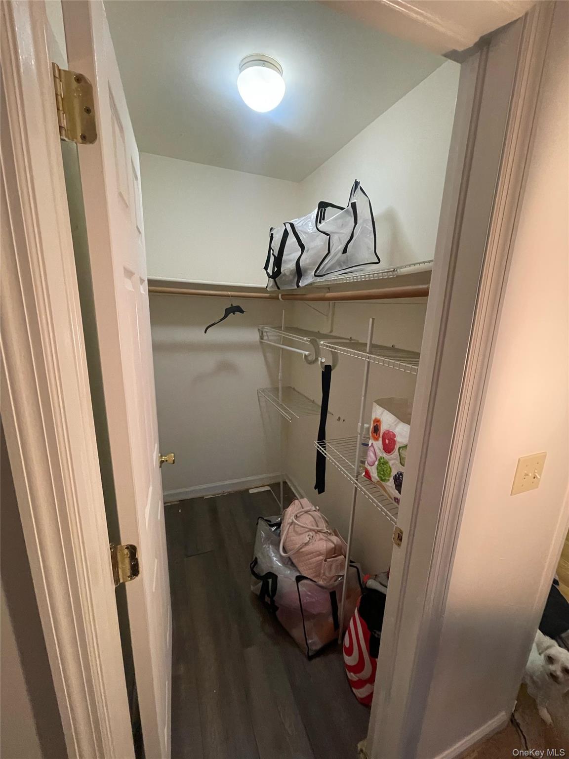 119 Pelhamdale Avenue Property Photo 33