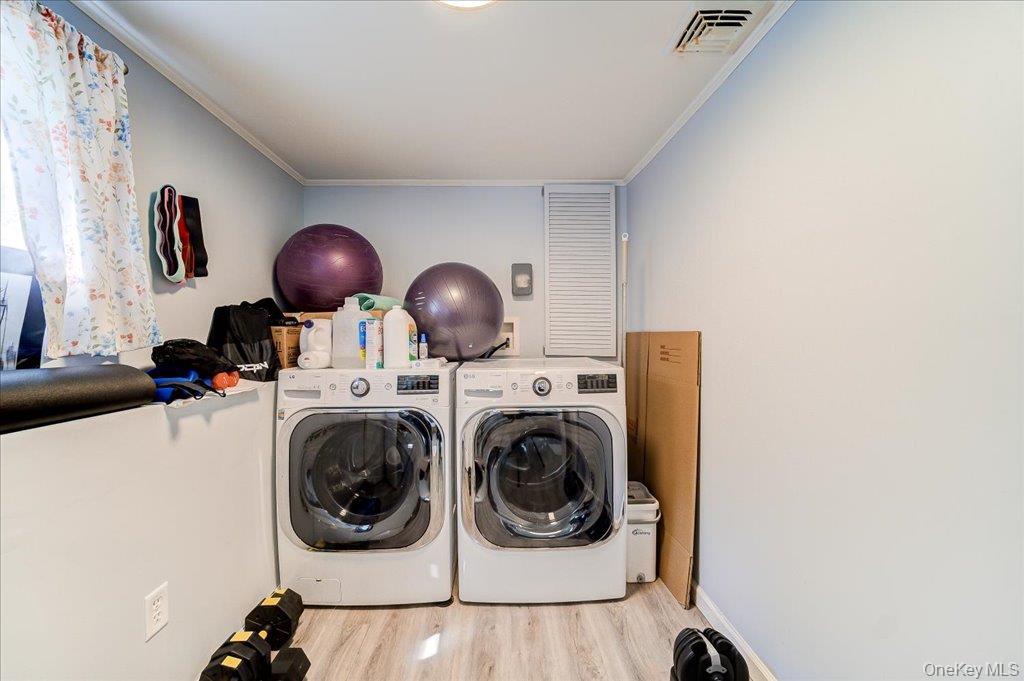 26 Delaware Road Property Photo 31