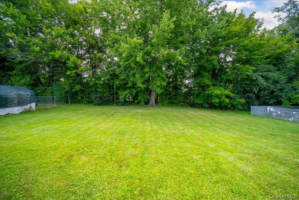 26 Delaware Road Property Photo 38
