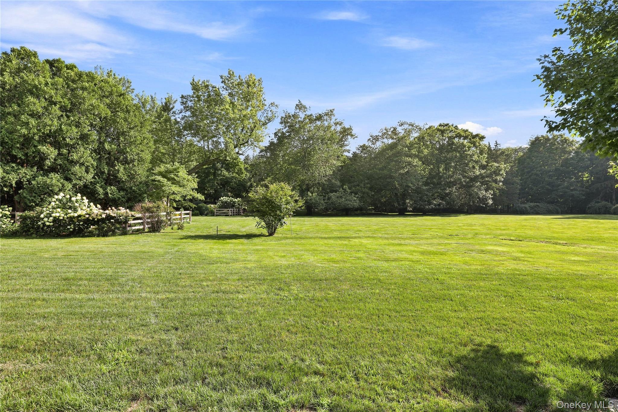 81 Springhurst Road Property Photo 25