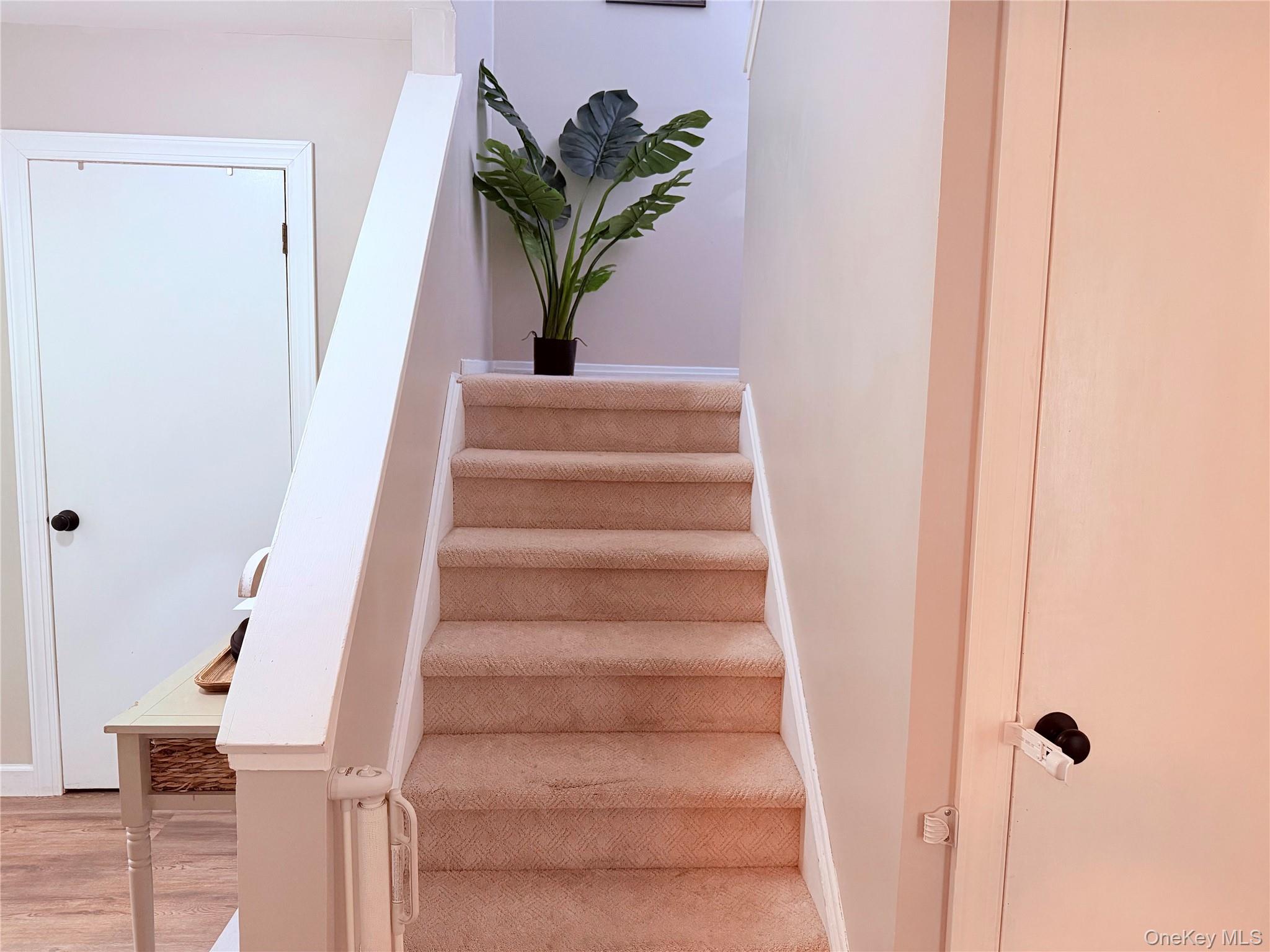 45 Redwood Drive Property Photo 14