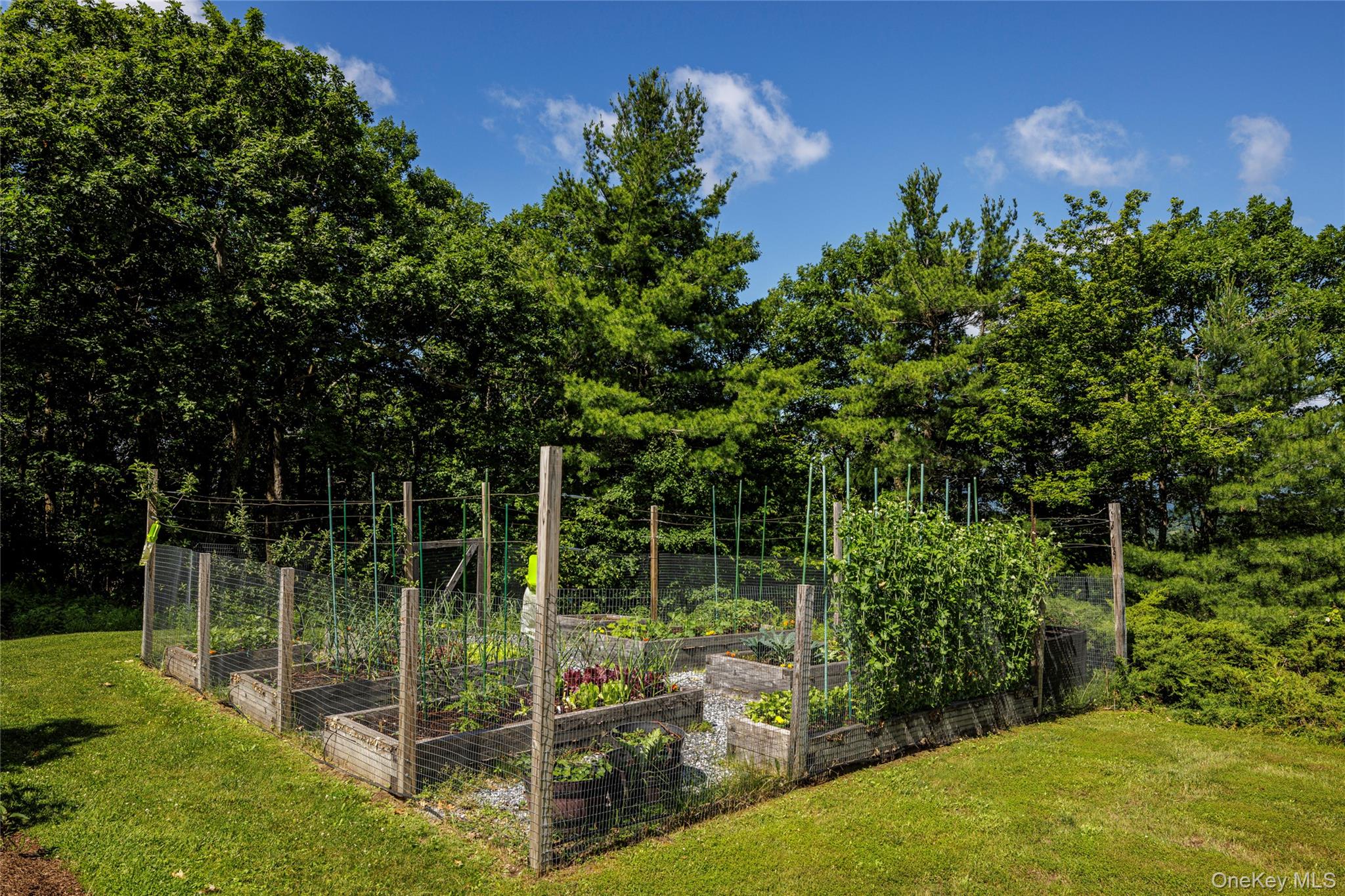 116 Ridge Road Property Photo 34