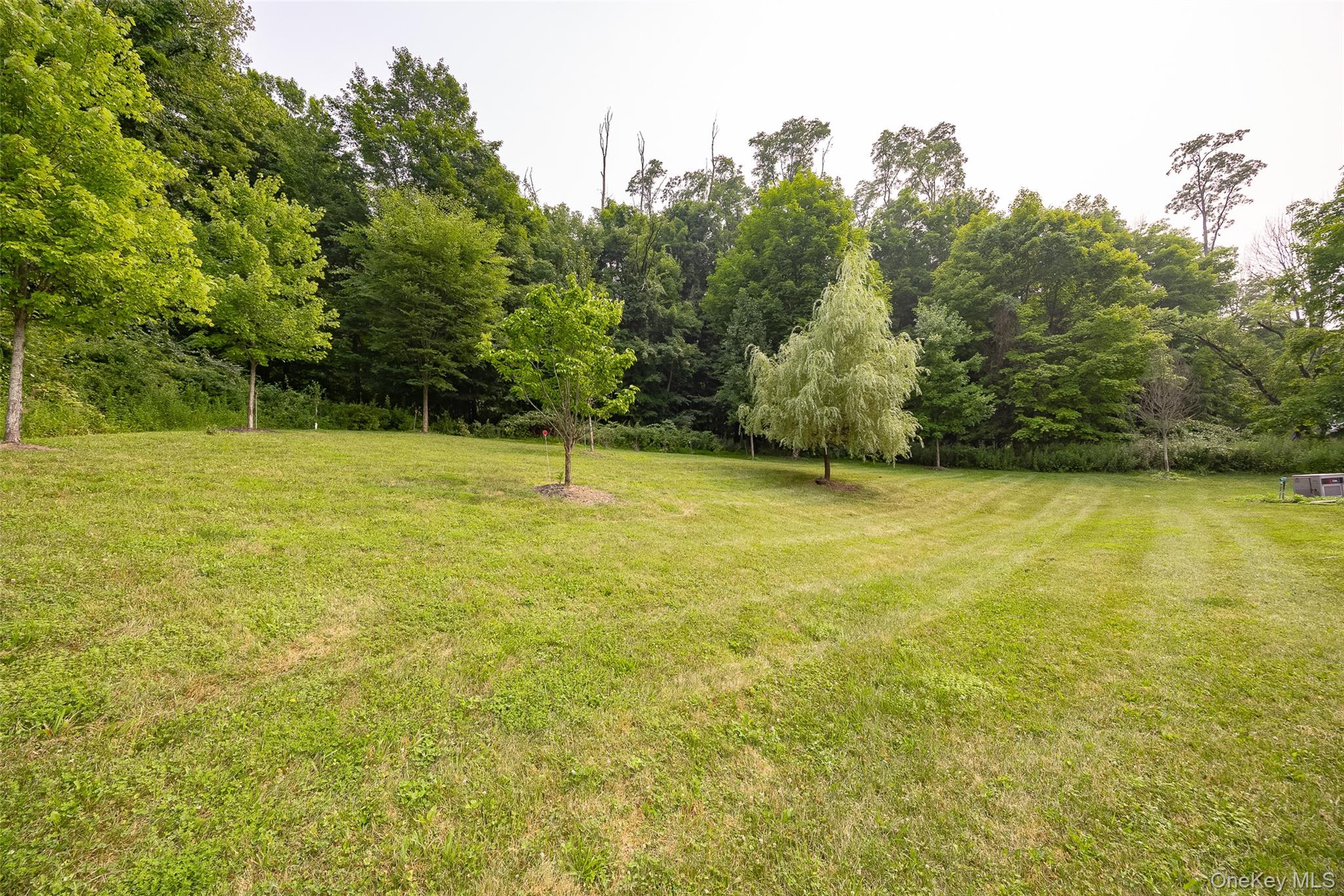 192 E Hook Road Property Photo 39