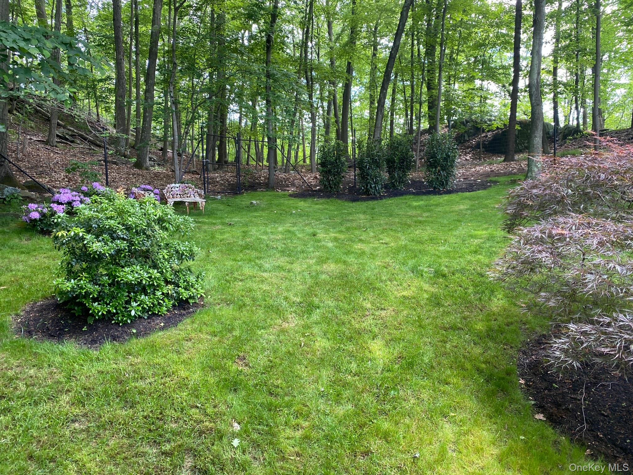 59 Peach Court Property Photo 15