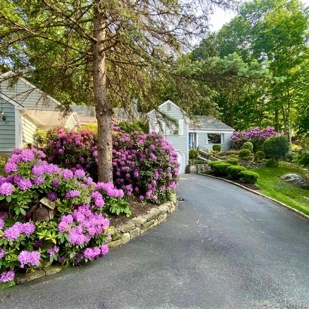 59 Peach Court Property Photo 18