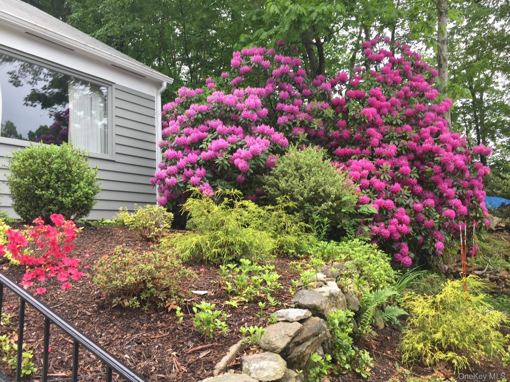 59 Peach Court Property Photo 19