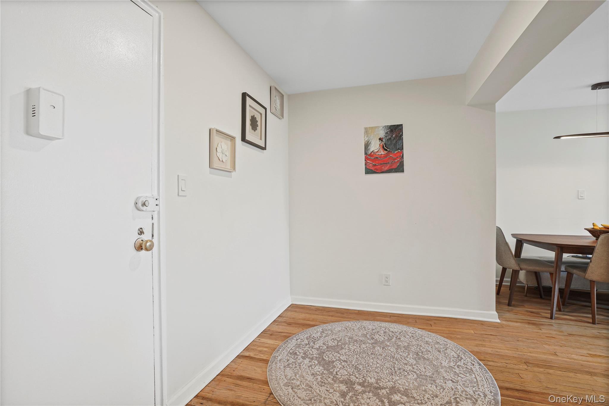 151-25 88th Street 4e Property Photo 22