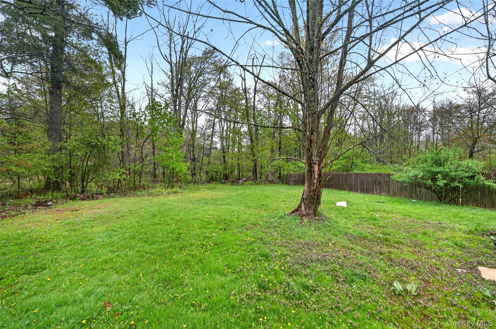 41 Rock Ridge Avenue Property Photo 25