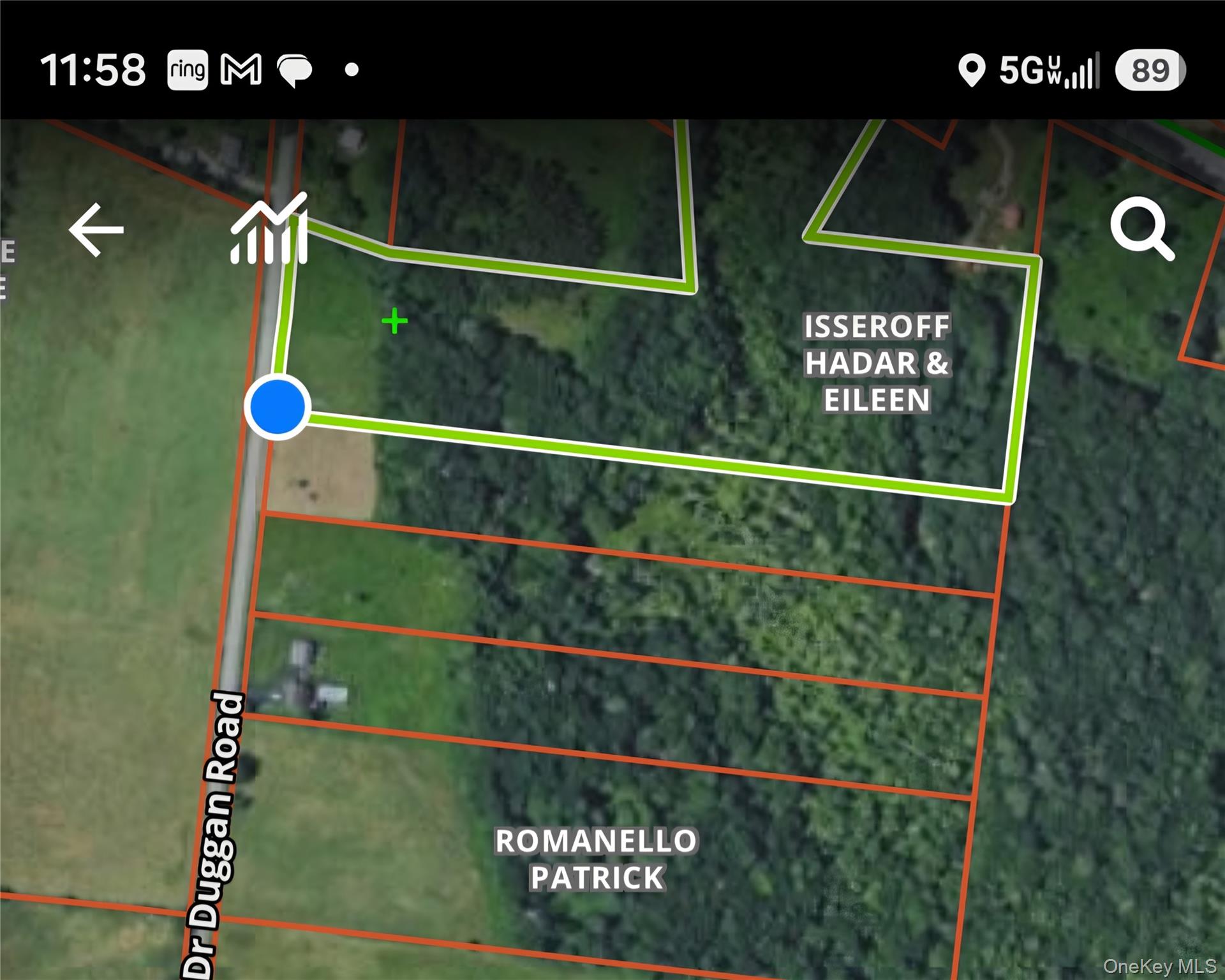 Lots 4 & 5 Dr. Duggan Road Property Photo 9