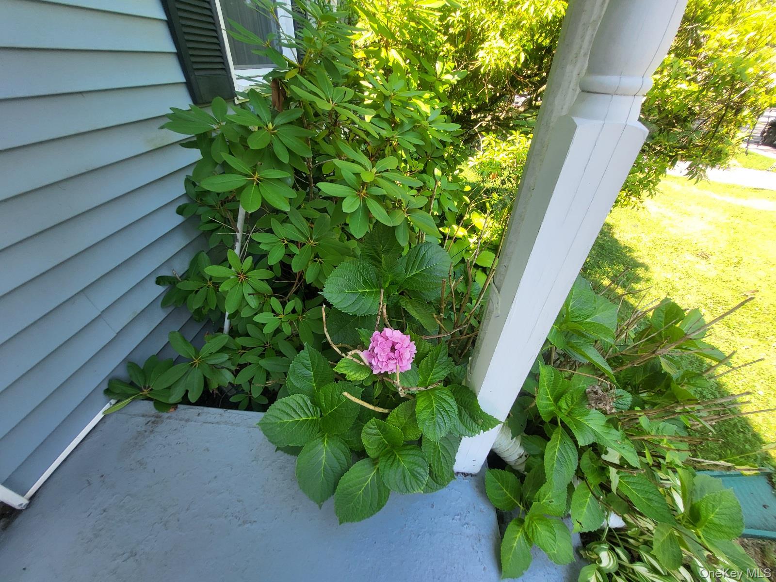 3 Vanamee Street Property Photo 6