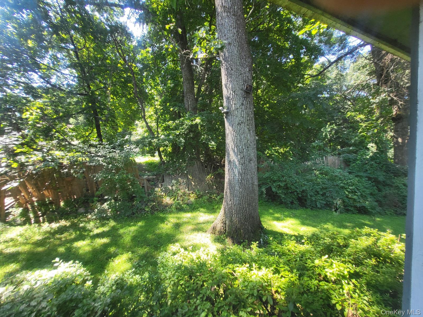 3 Vanamee Street Property Photo 42