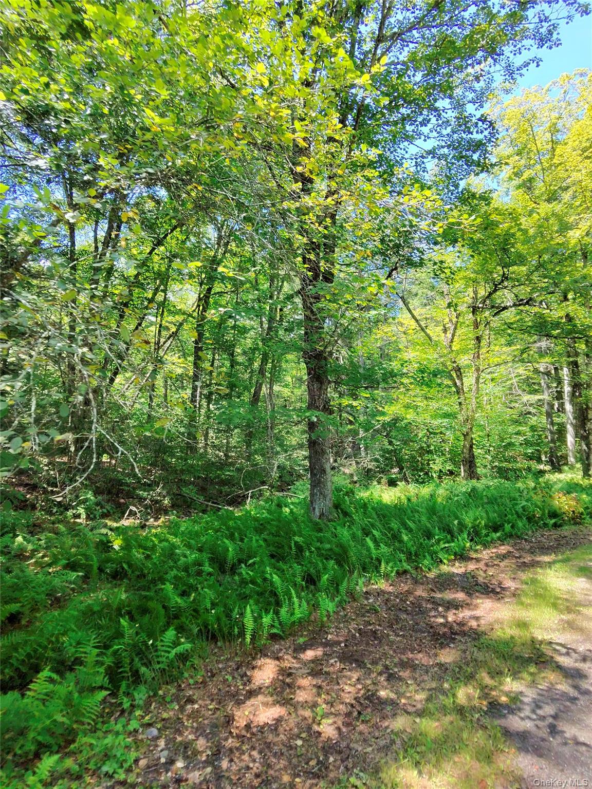 2735 Denning Road Property Photo 48