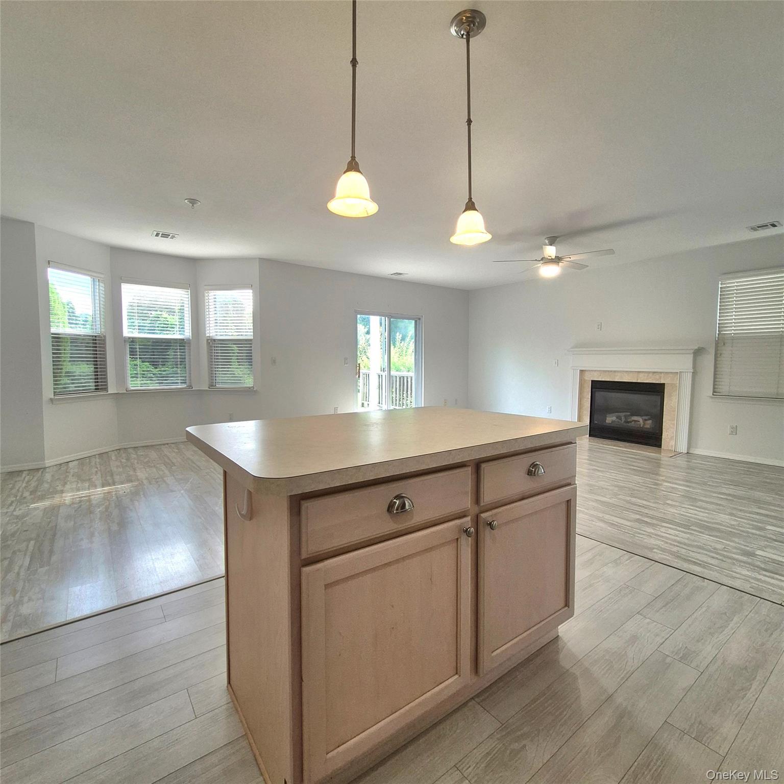 2501 Willow Pond Drive Property Photo 11