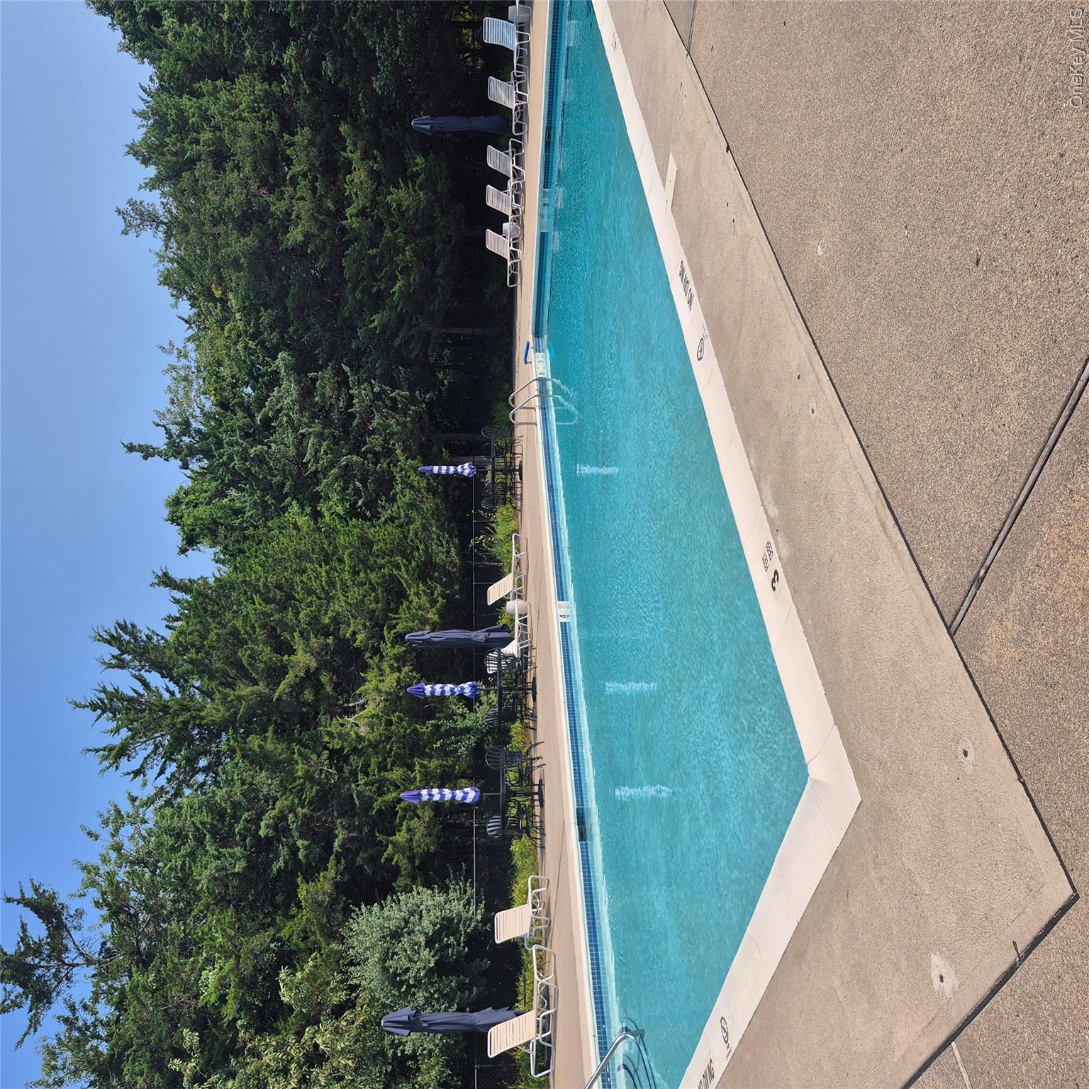 2501 Willow Pond Drive Property Photo 23