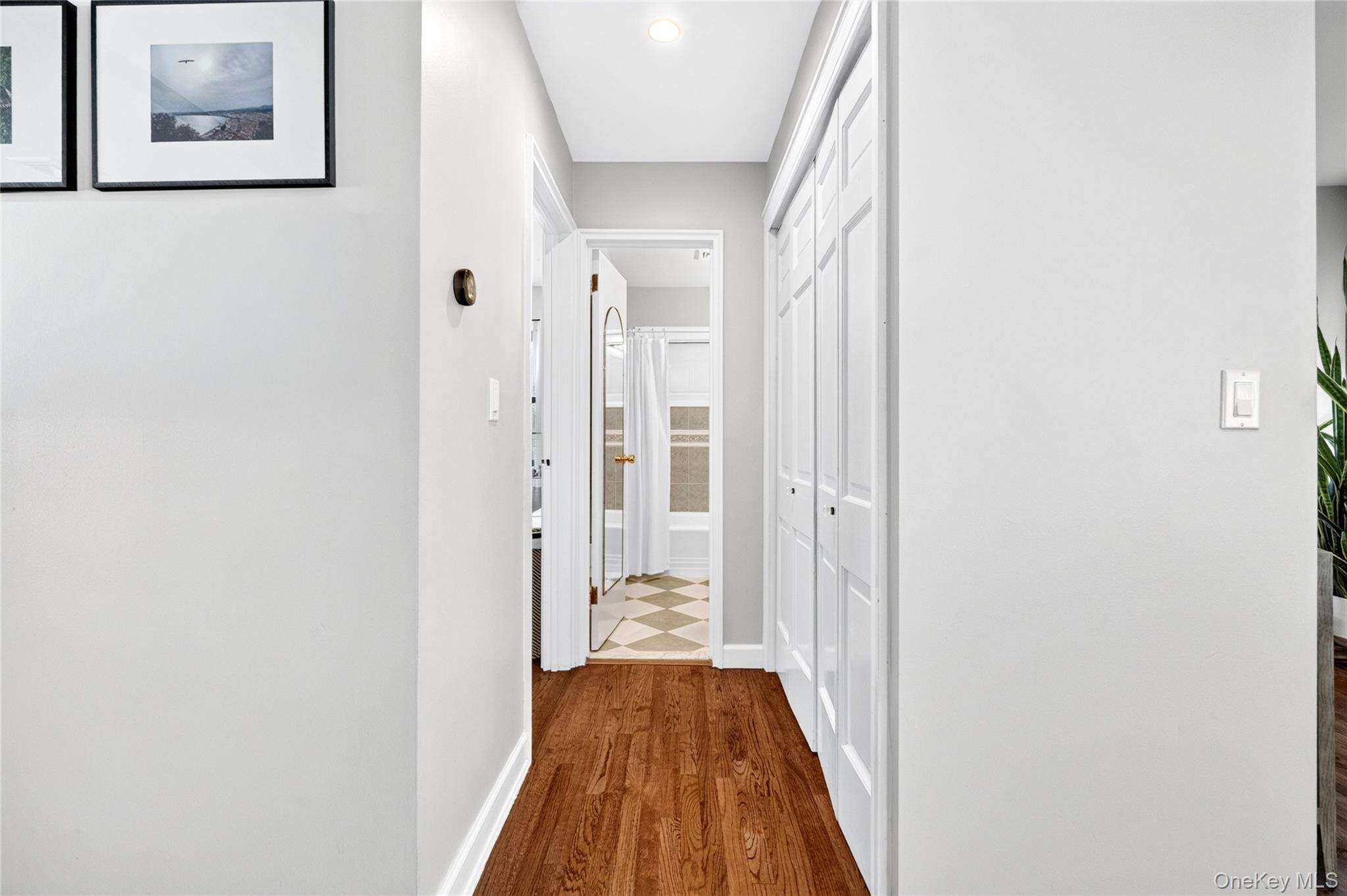 3 Augusta Place Property Photo 34