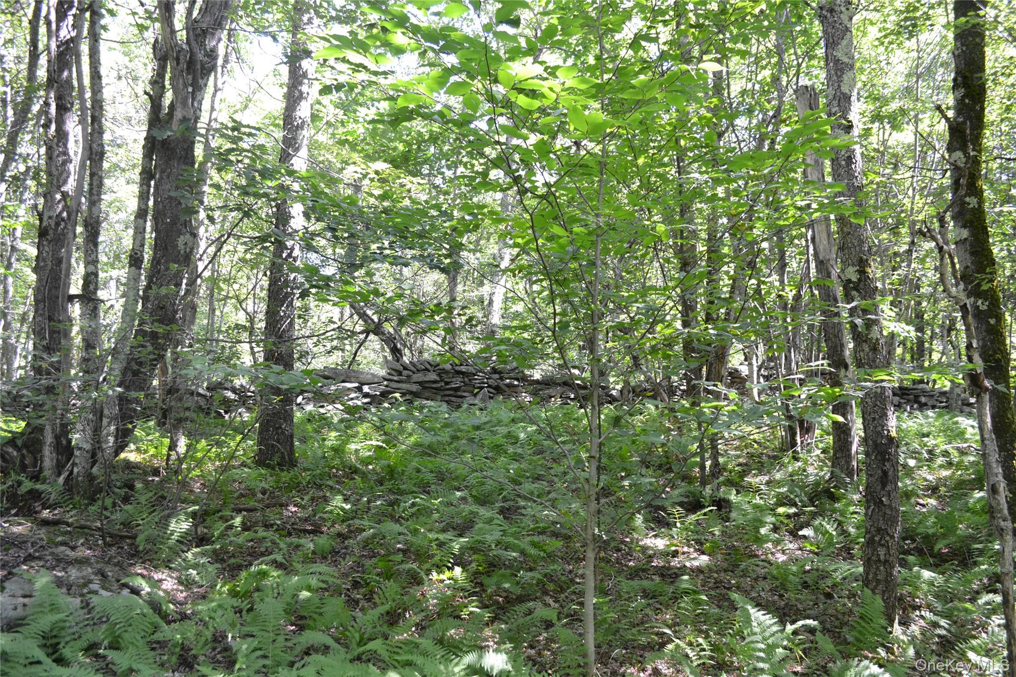 3897 Campbell Mountain Road Property Photo 5