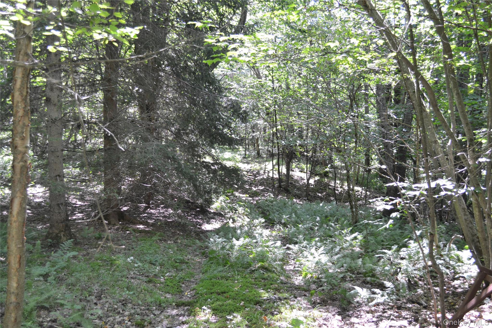 3897 Campbell Mountain Road Property Photo 6
