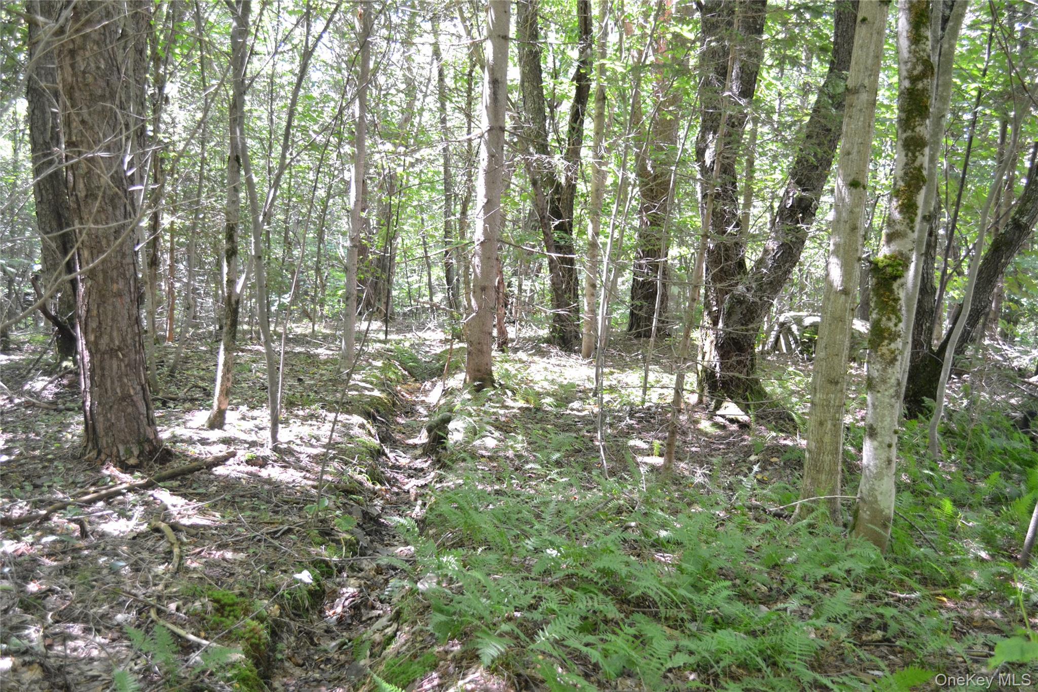 3897 Campbell Mountain Road Property Photo 7