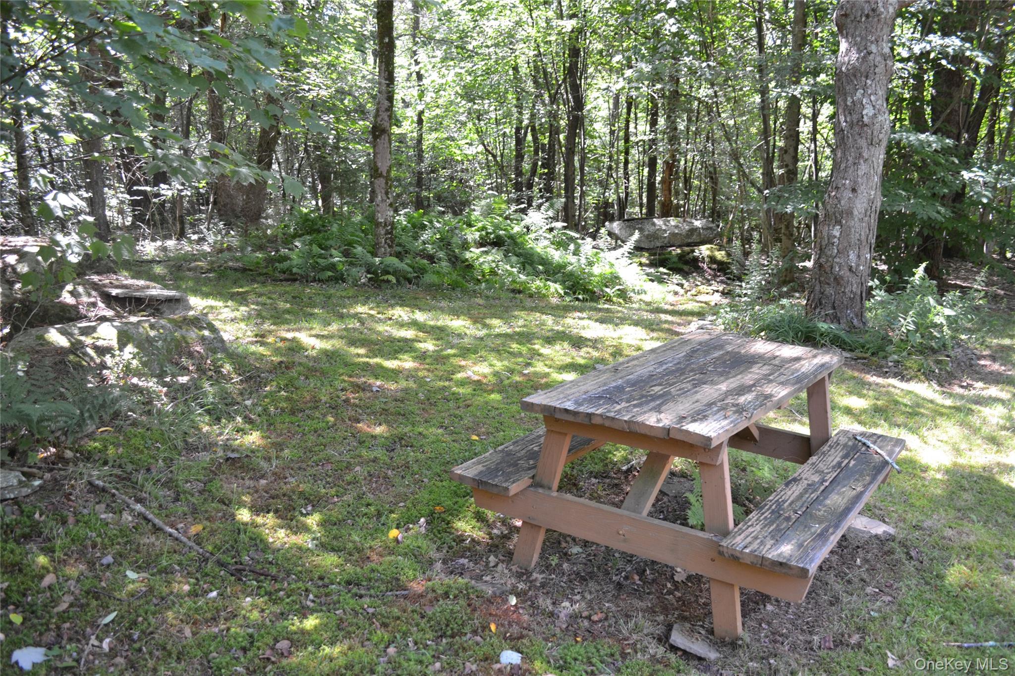 3897 Campbell Mountain Road Property Photo 10