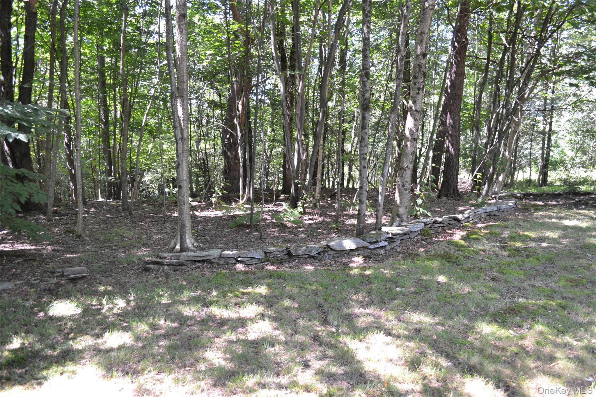 3897 Campbell Mountain Road Property Photo 11
