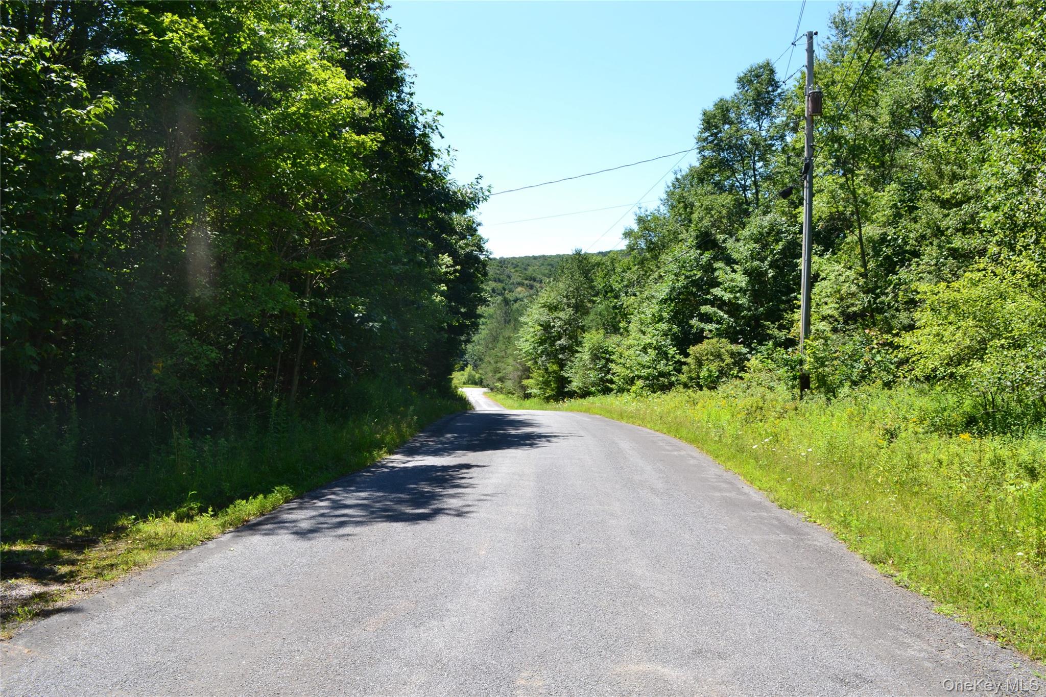 3897 Campbell Mountain Road Property Photo 28