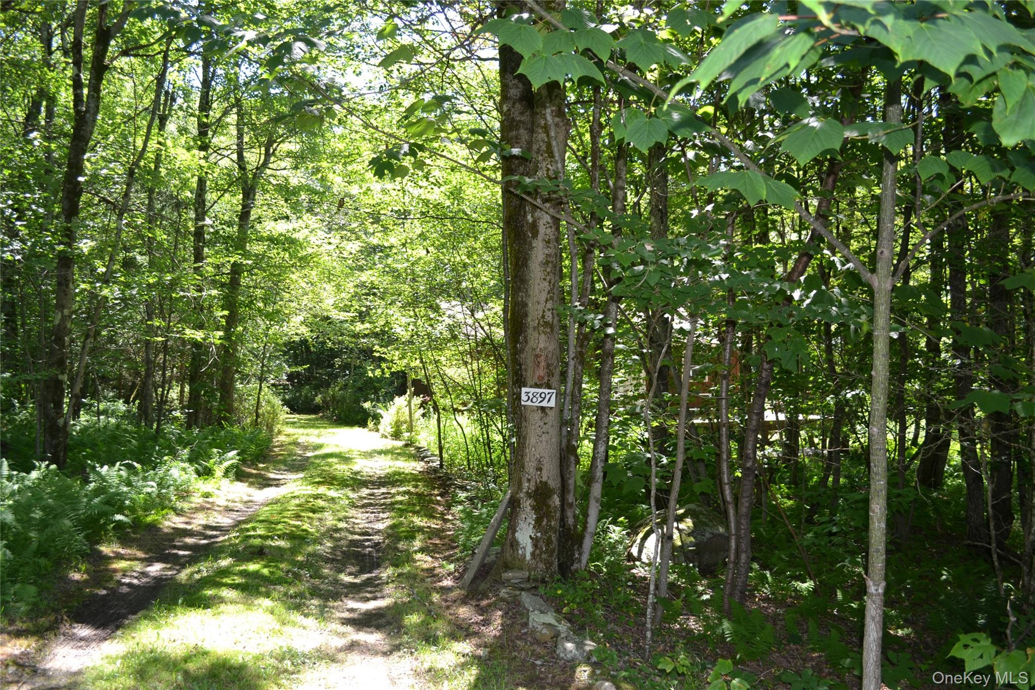 3897 Campbell Mountain Road Property Photo 29