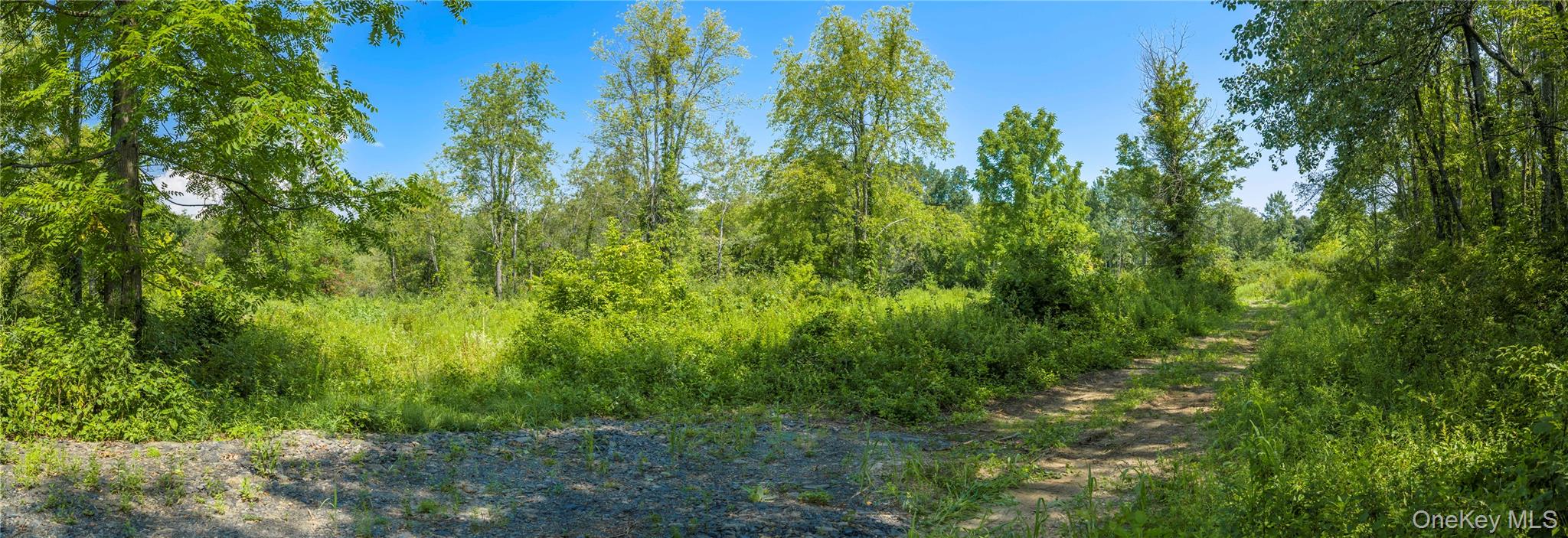 (lot 2) 111 South Street Property Photo 1