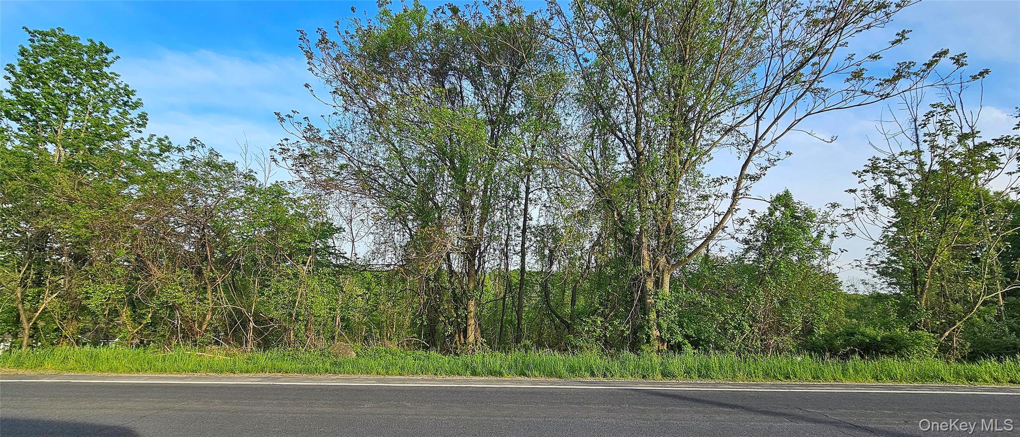 X Old Mountain Road Property Photo 6