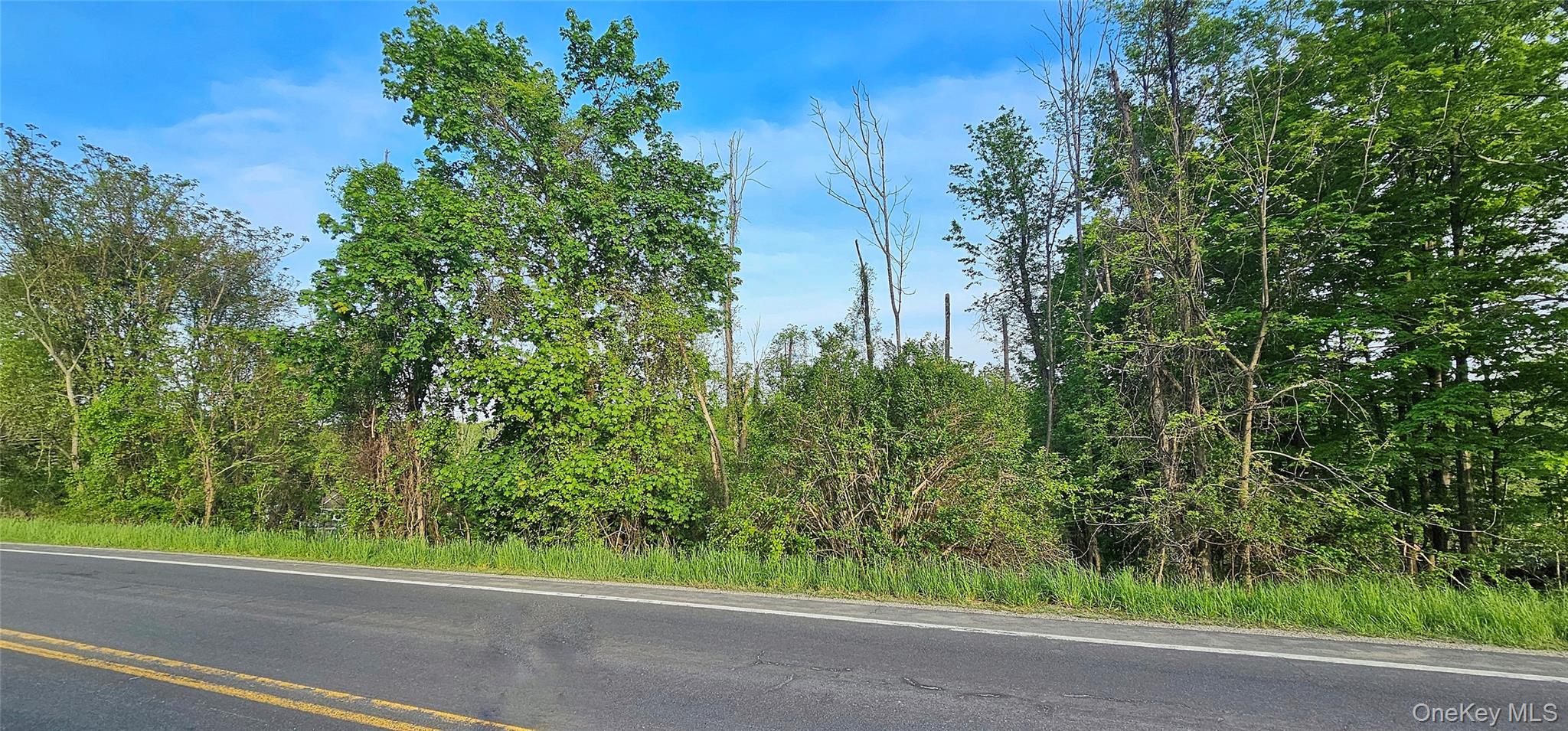 X Old Mountain Road Property Photo 8