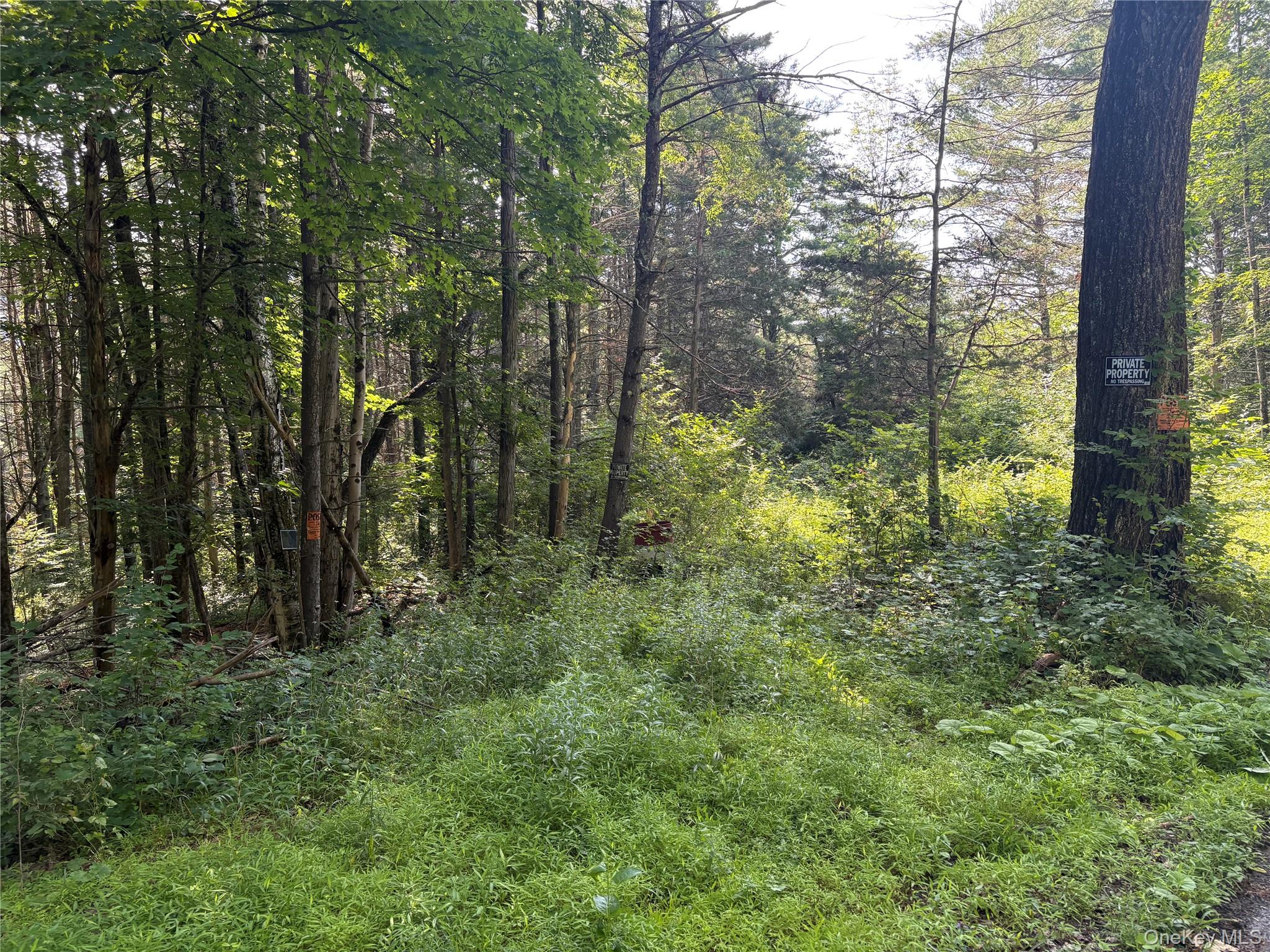 Crescent Road Property Photo 6