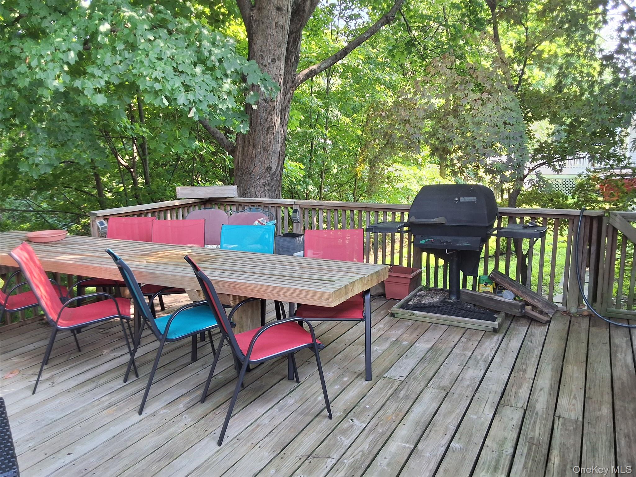 6 Strathmore Drive Property Photo 25