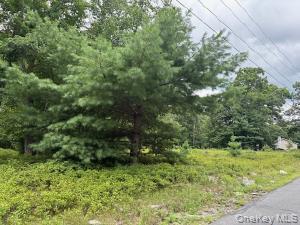 695 Big Pond Road Property Photo 1