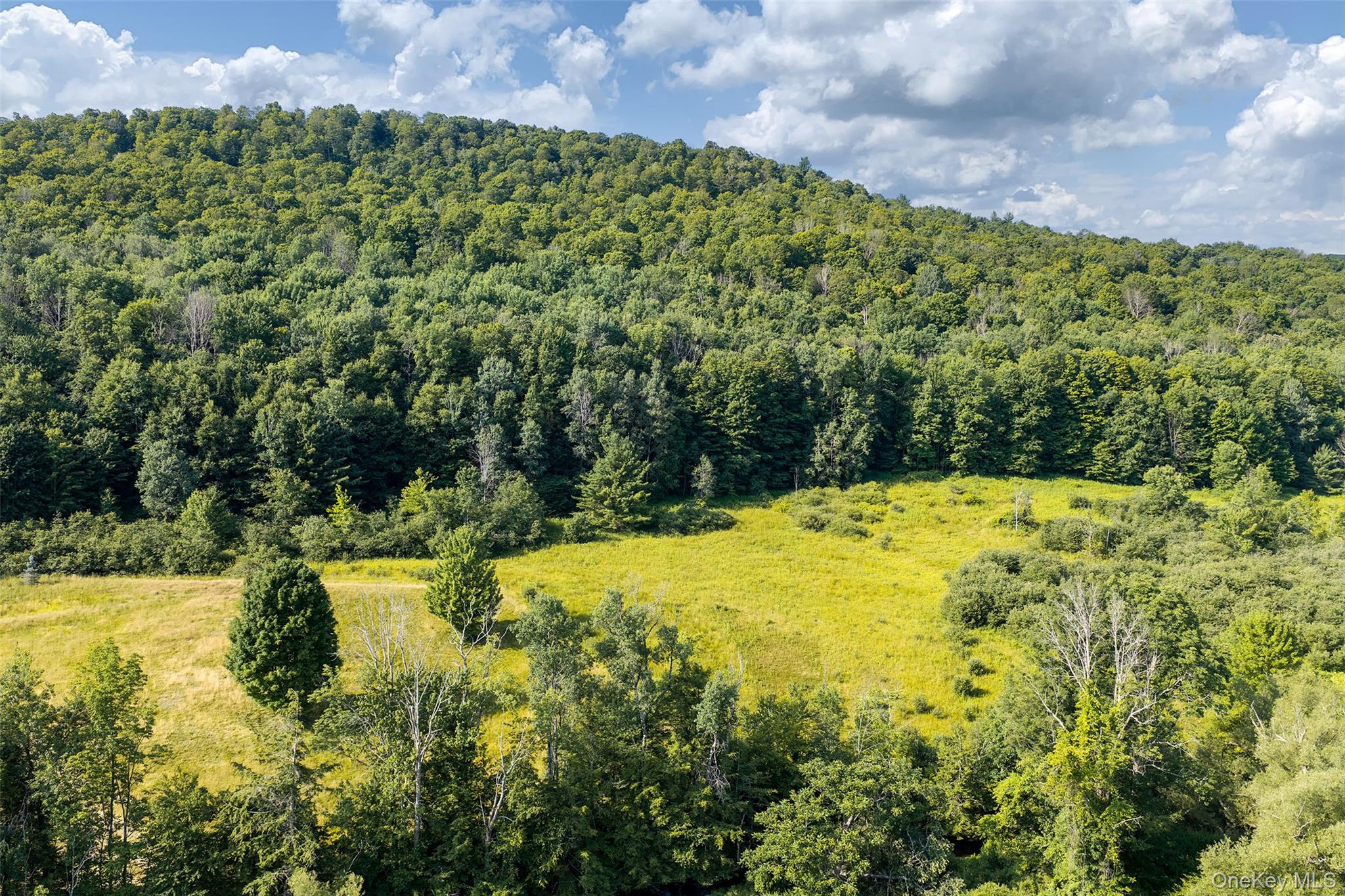 Lot #11 Franklin Depot Road Property Photo 5