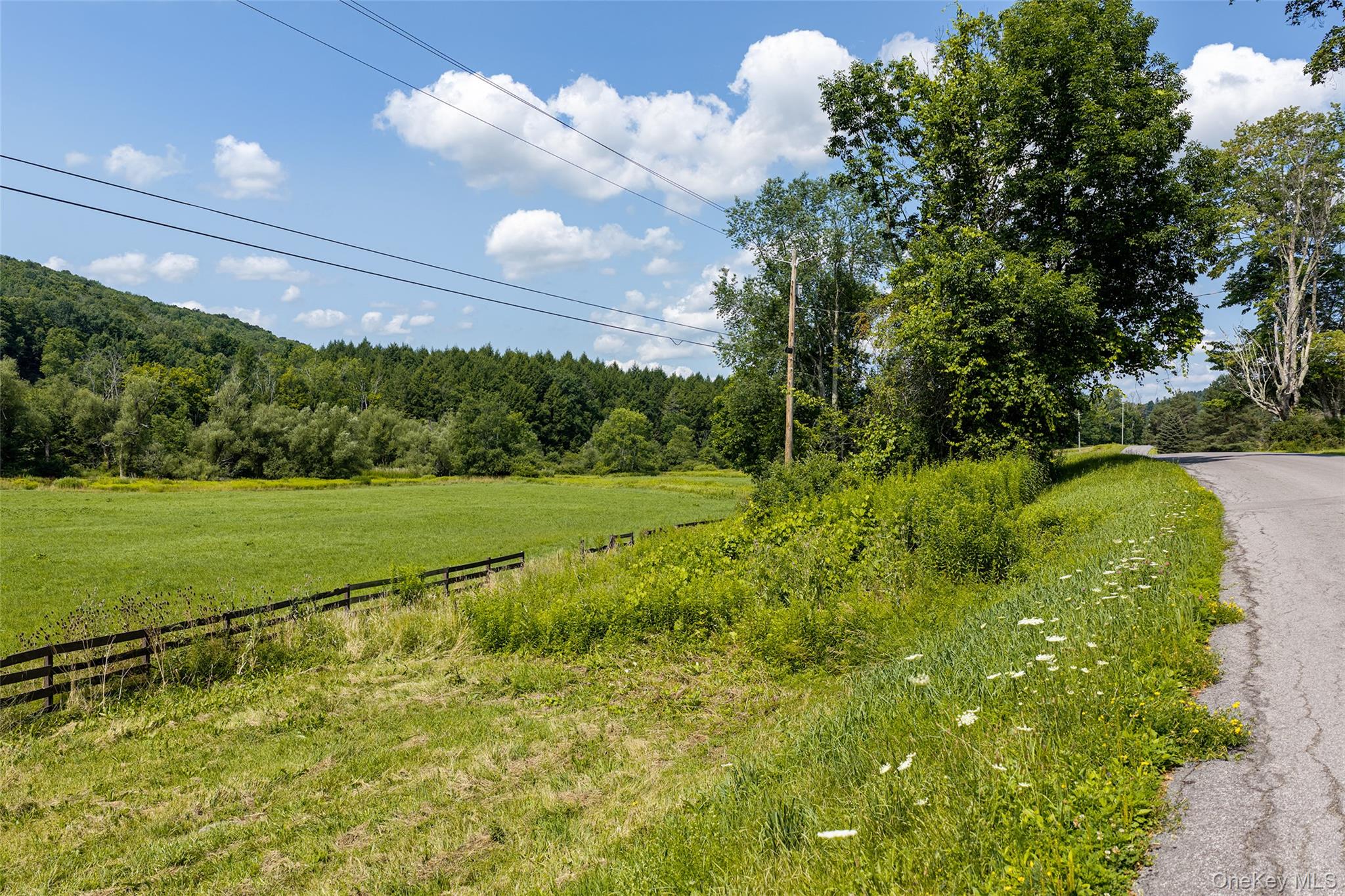 Lot #11 Franklin Depot Road Property Photo 6