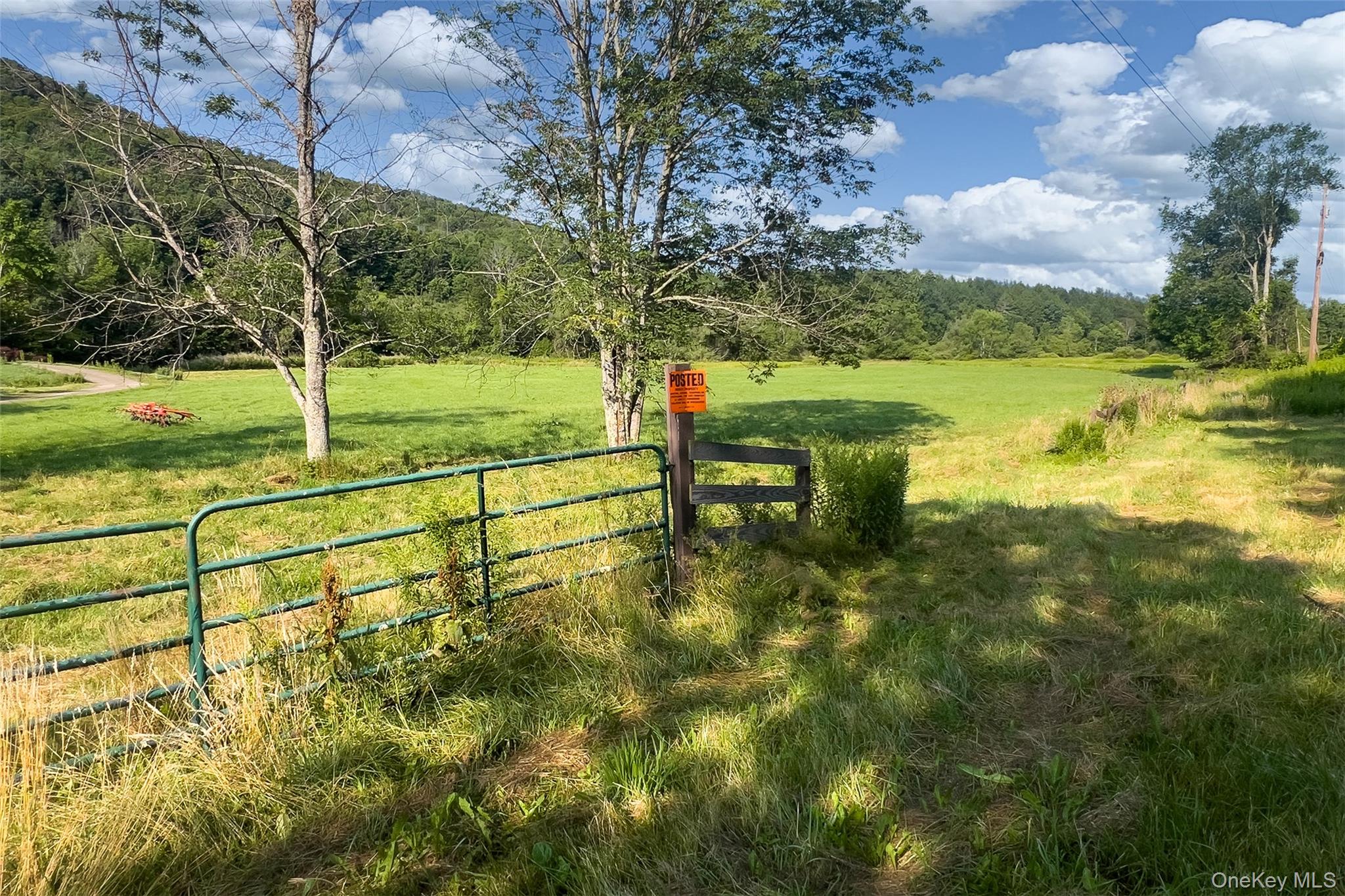 Lot #11 Franklin Depot Road Property Photo 7