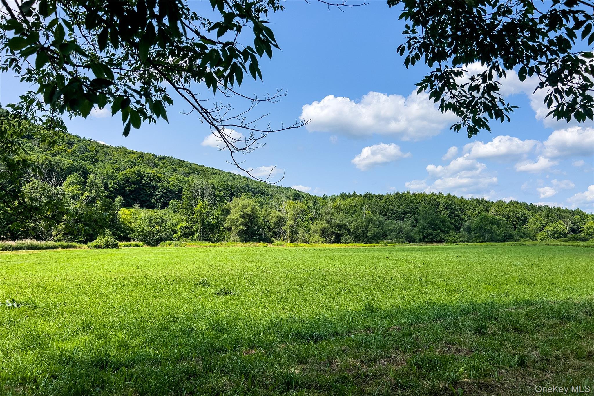 Lot #11 Franklin Depot Road Property Photo 9
