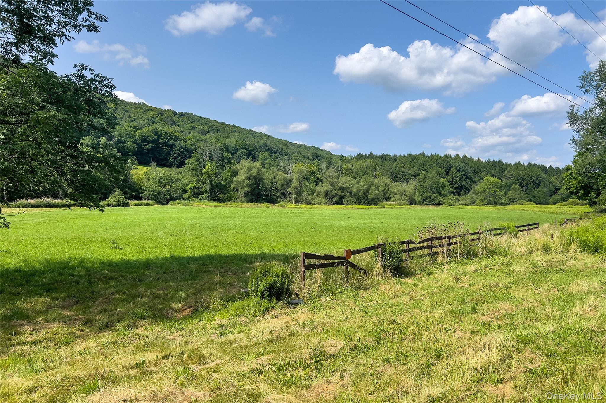 Lot #11 Franklin Depot Road Property Photo 10
