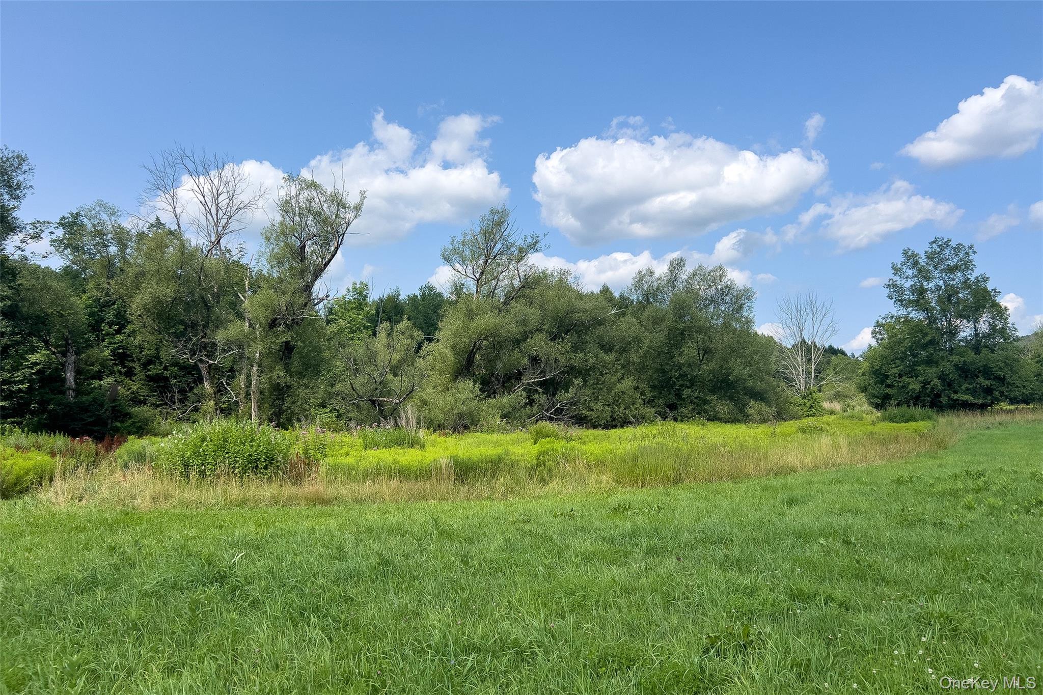 Lot #11 Franklin Depot Road Property Photo 11