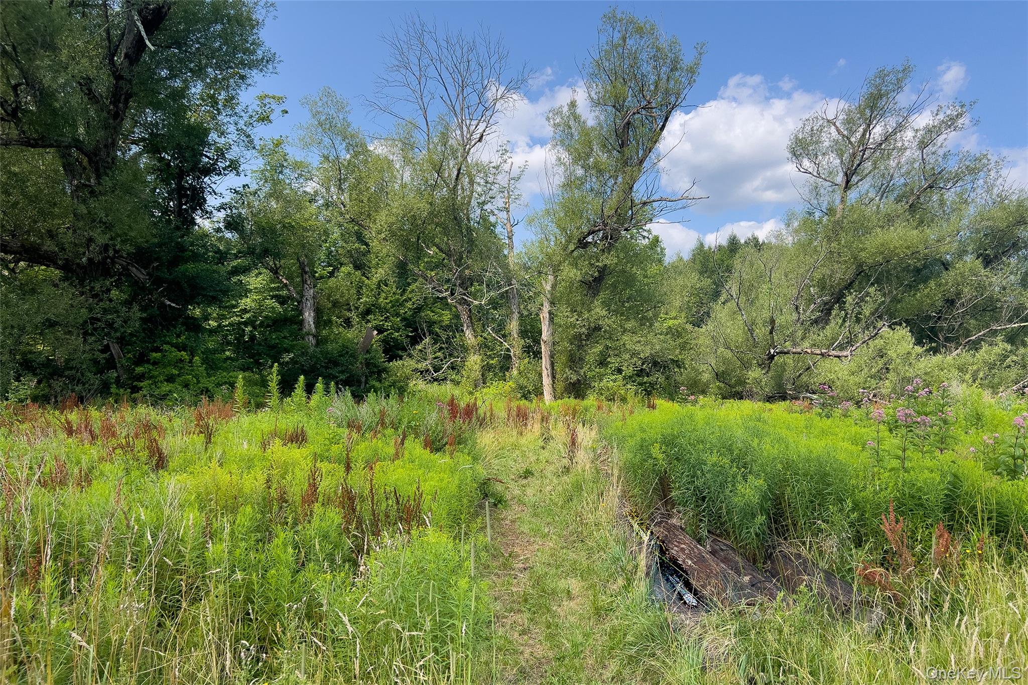 Lot #11 Franklin Depot Road Property Photo 12