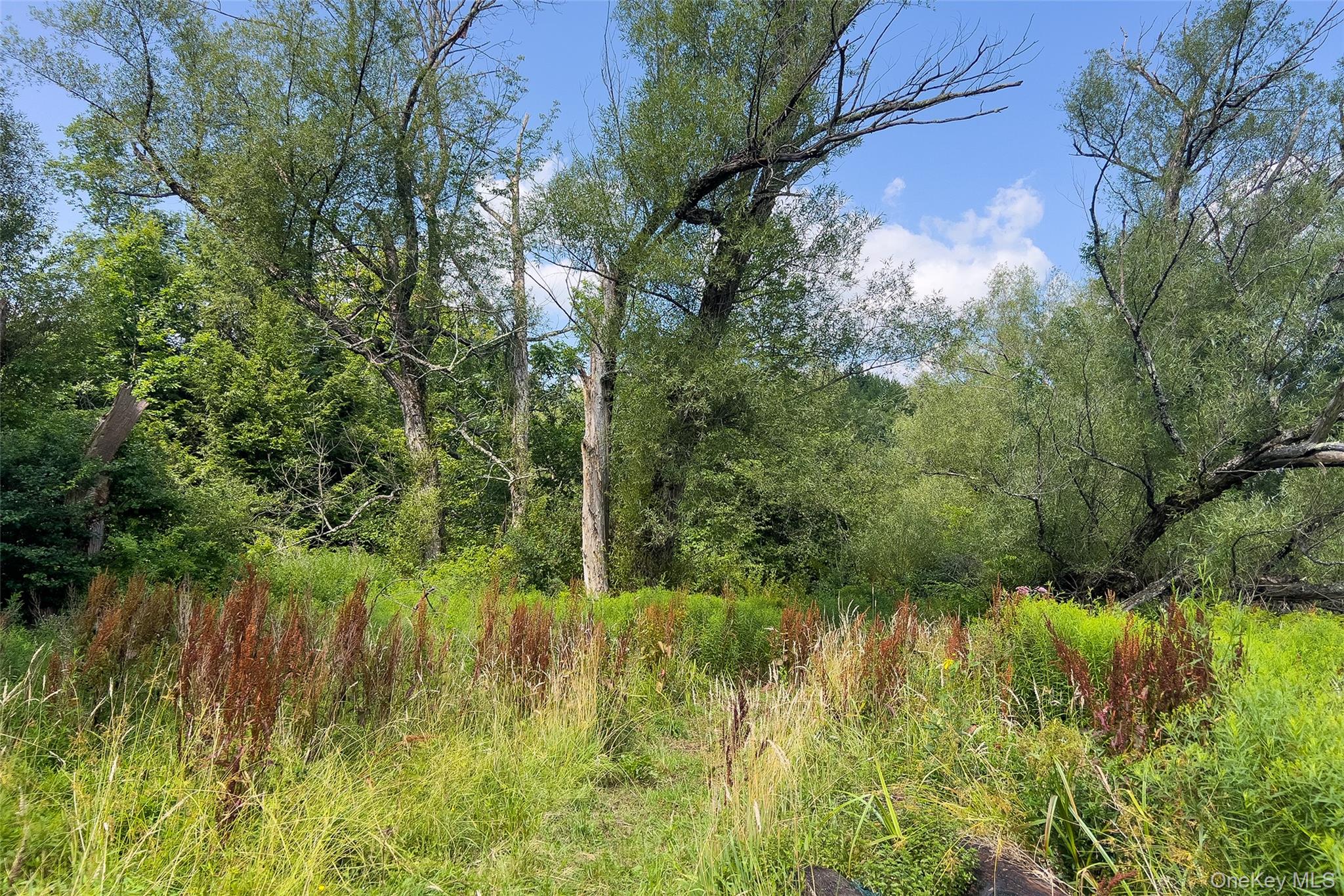 Lot #11 Franklin Depot Road Property Photo 13