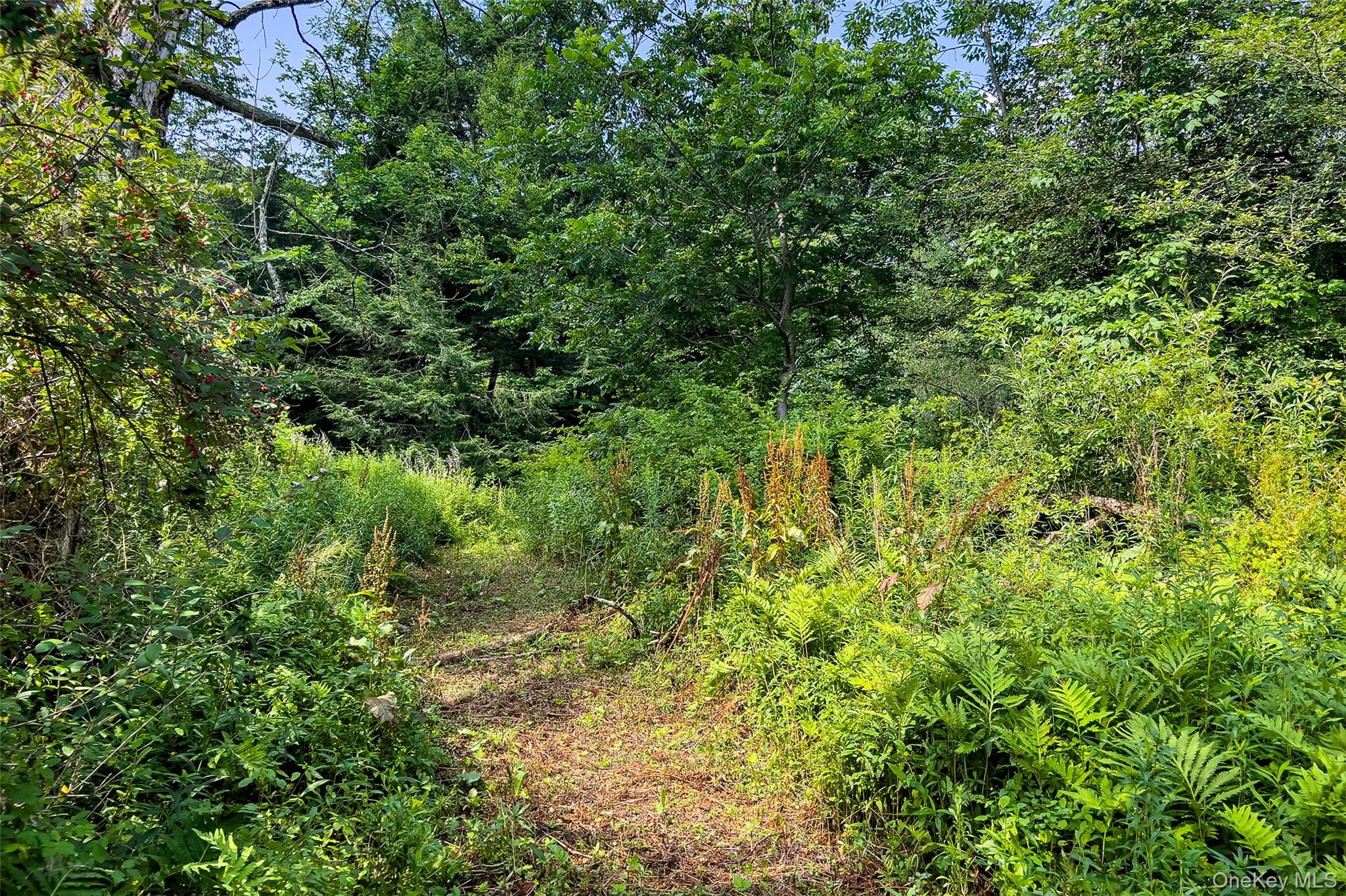 Lot #11 Franklin Depot Road Property Photo 14