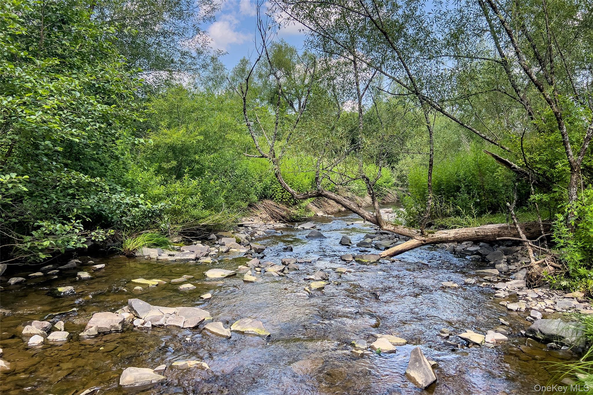 Lot #11 Franklin Depot Road Property Photo 15