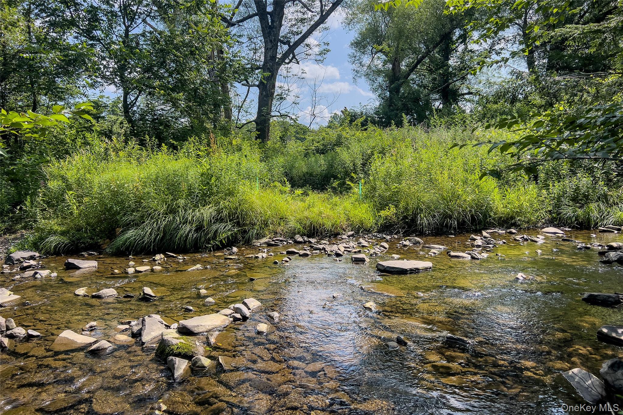 Lot #11 Franklin Depot Road Property Photo 17