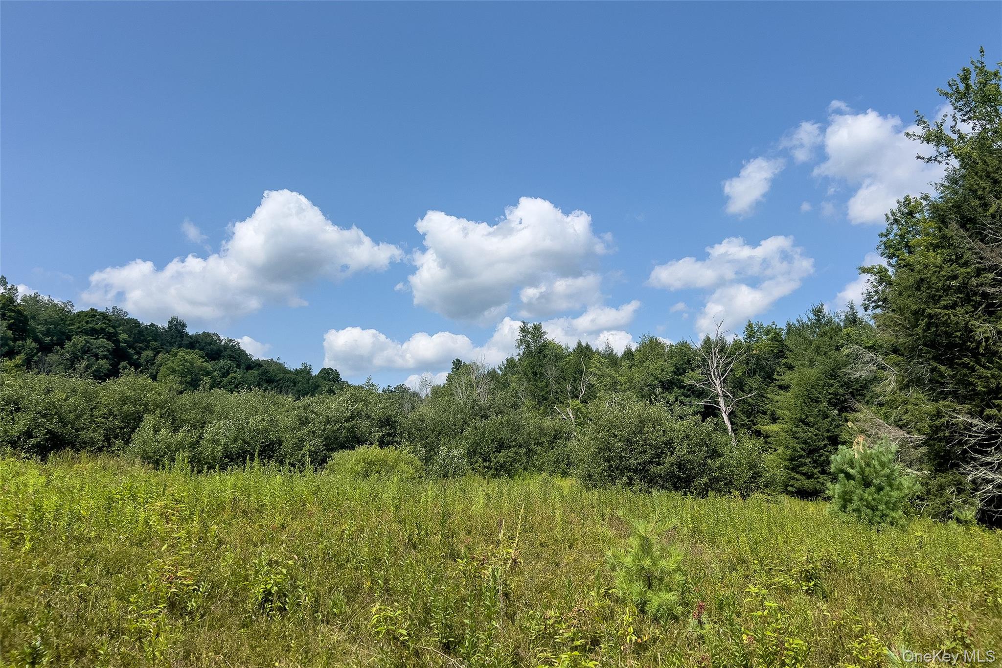 Lot #11 Franklin Depot Road Property Photo 22